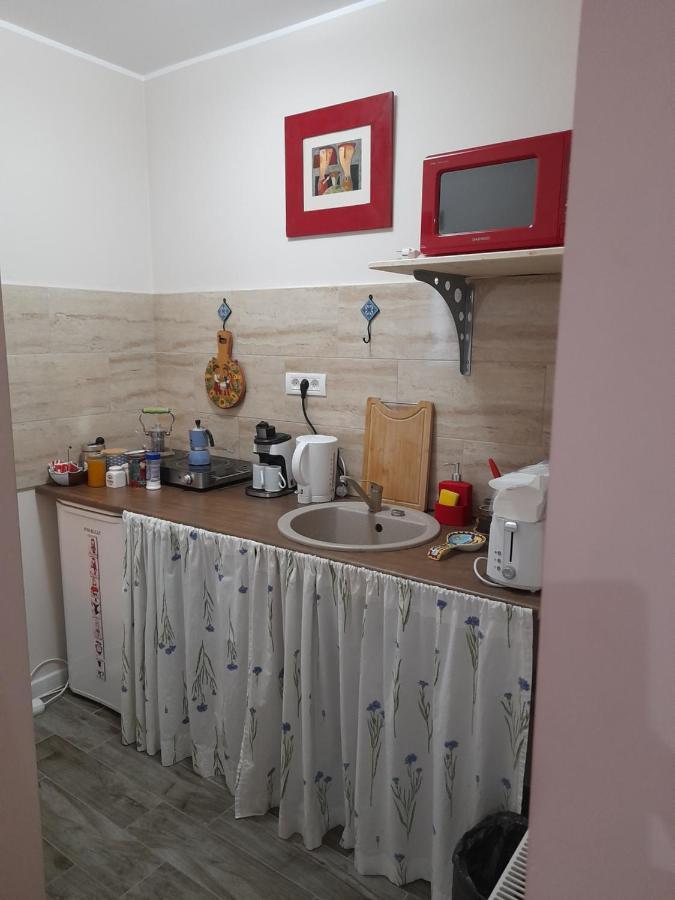 Skyline Central Apartment Timișoara Zewnętrze zdjęcie