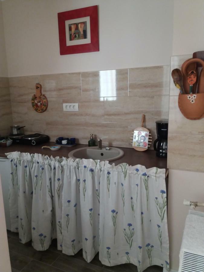 Skyline Central Apartment Timișoara Zewnętrze zdjęcie