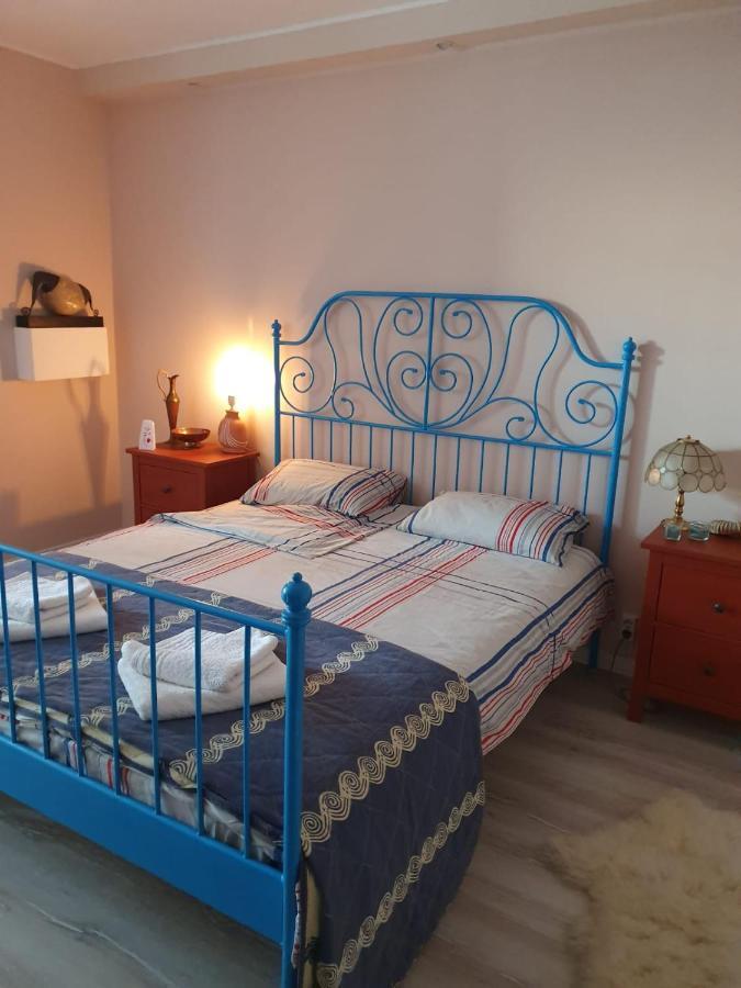 Skyline Central Apartment Timișoara Zewnętrze zdjęcie