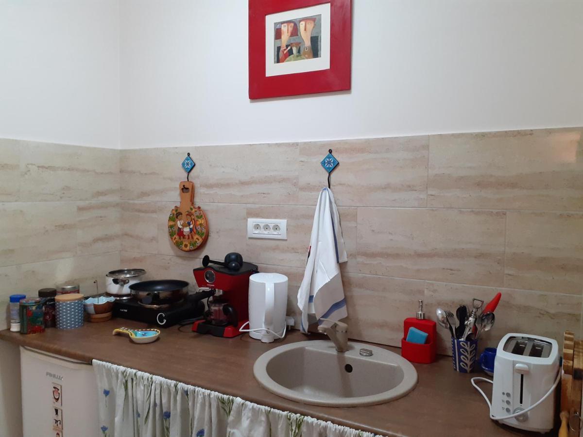 Skyline Central Apartment Timișoara Zewnętrze zdjęcie