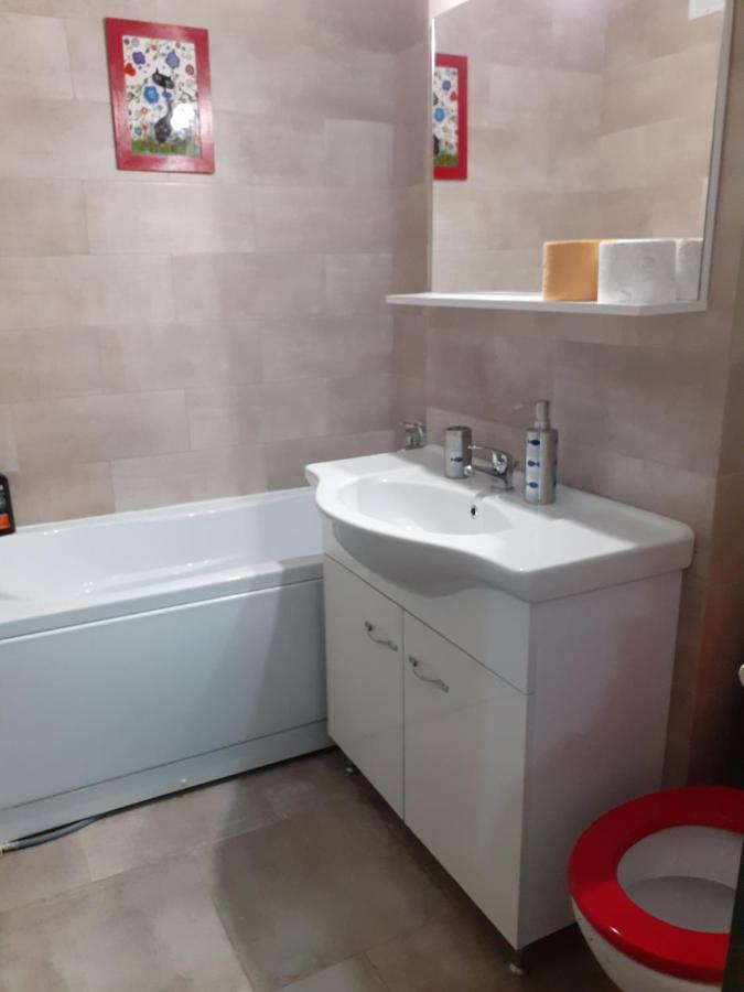 Skyline Central Apartment Timișoara Zewnętrze zdjęcie